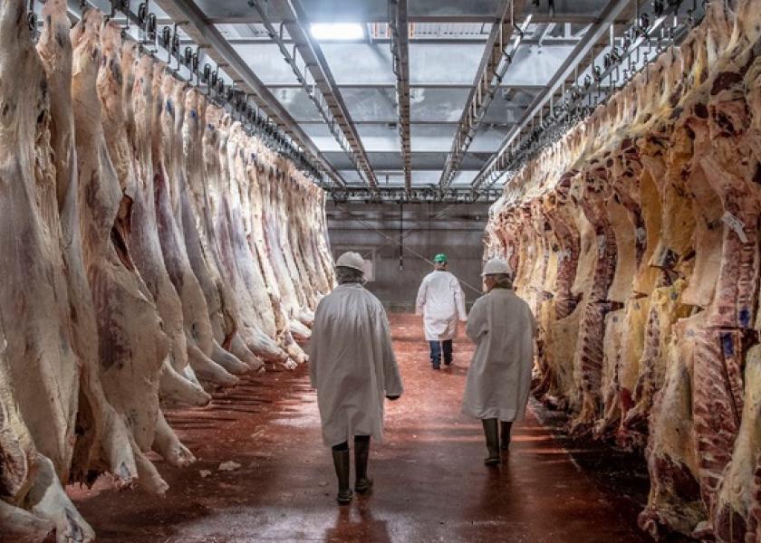 Beef Slaughterhouse Building